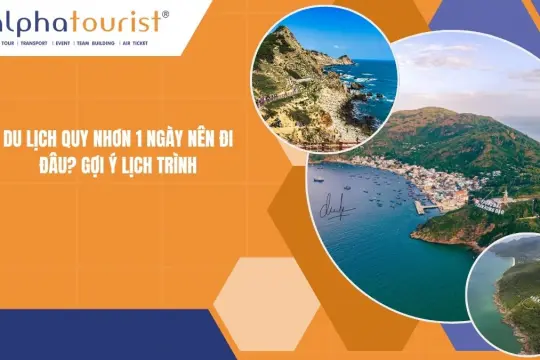 Du lịch Quy Nhơn 1 ngày nên đi đâu? Gợi ý lịch trình 2026