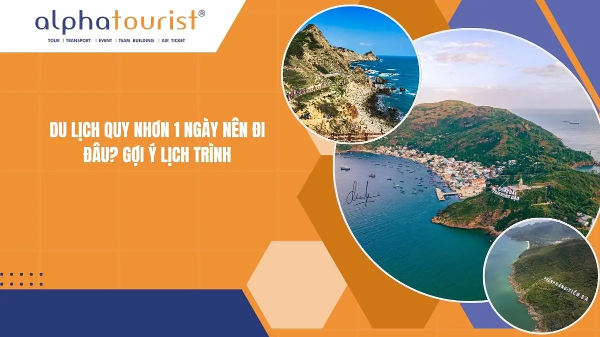 Du lịch Quy Nhơn 1 ngày nên đi đâu? Gợi ý lịch trình 2026