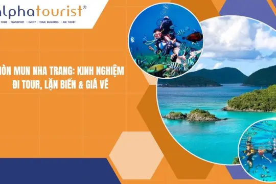 Hòn Mun Nha Trang: Kinh nghiệm đi tour, lặn biển & giá vé 2026