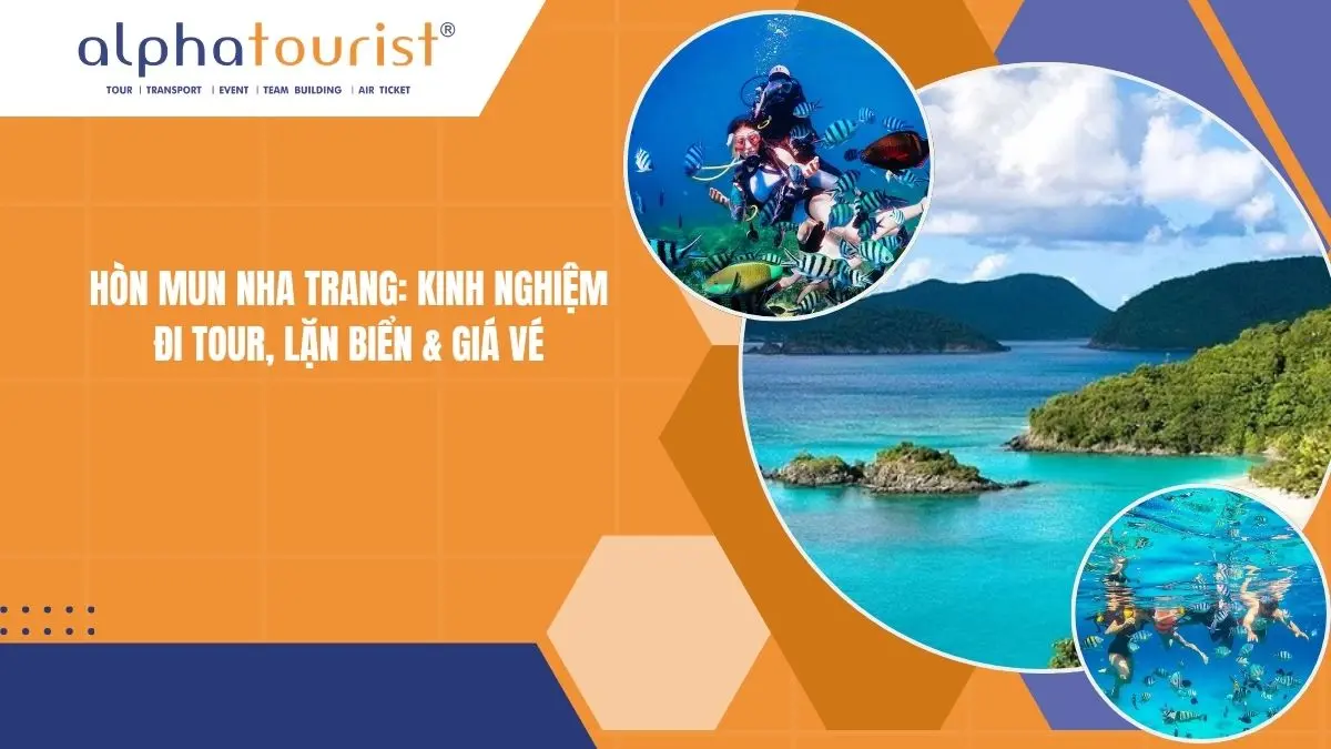 Hòn Mun Nha Trang: Kinh nghiệm đi tour, lặn biển & giá vé 2026