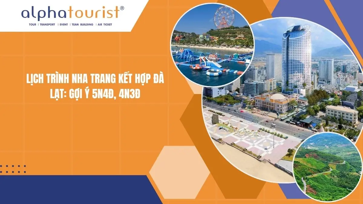 Lịch trình Nha Trang kết hợp Đà Lạt 2026: Gợi ý 5N4Đ, 4N3Đ