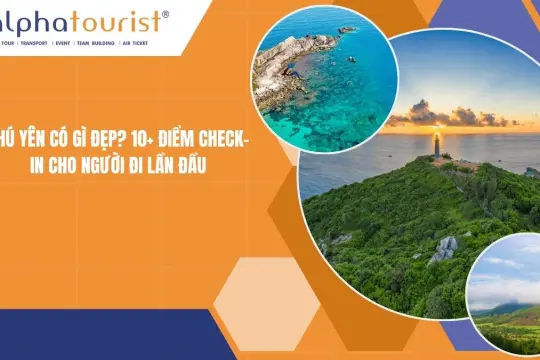 Phú Yên có gì đẹp? 10+ điểm Check-in cho người đi lần đầu