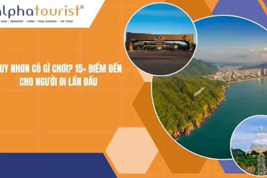 Quy Nhơn Có Gì Chơi 2026? 15+ Điểm Đến Cho Người Đi Lần Đầu