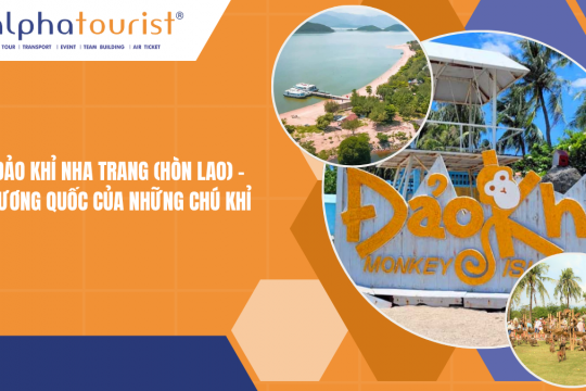 Đảo Khỉ Nha Trang: Giá Vé & Kinh Nghiệm Tham Quan 2026