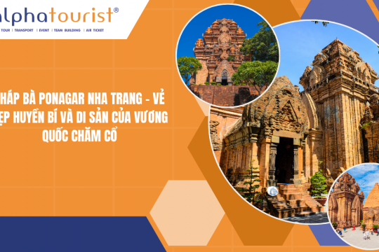 Tháp Bà Ponagar Nha Trang: Giá Vé & Kinh Nghiệm 2026