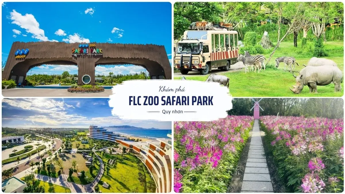 Tham quan FLC Zoo Safari Park Quy Nhơn với nhiều loài động vật hoang dã trong không gian bán hoang dã rộng lớn
