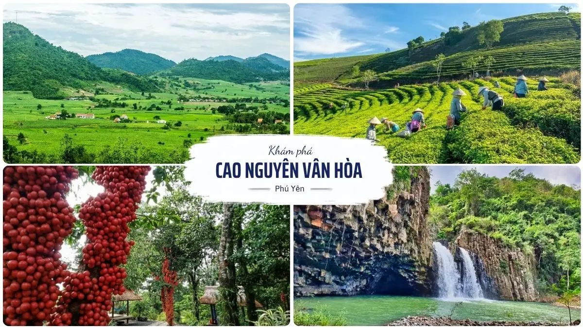 Cao nguyên Vân Hòa Phú Yên với khí hậu mát mẻ quanh năm, đồi núi xanh mướt và khung cảnh thiên nhiên thơ mộng được ví như Đà Lạt thu nhỏ