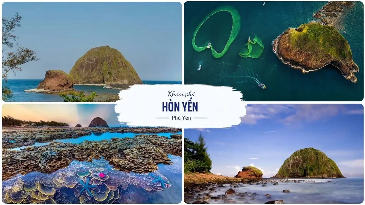 Hòn Yến Phú Yên nổi bật với rạn san hô ven bờ, làn nước trong xanh