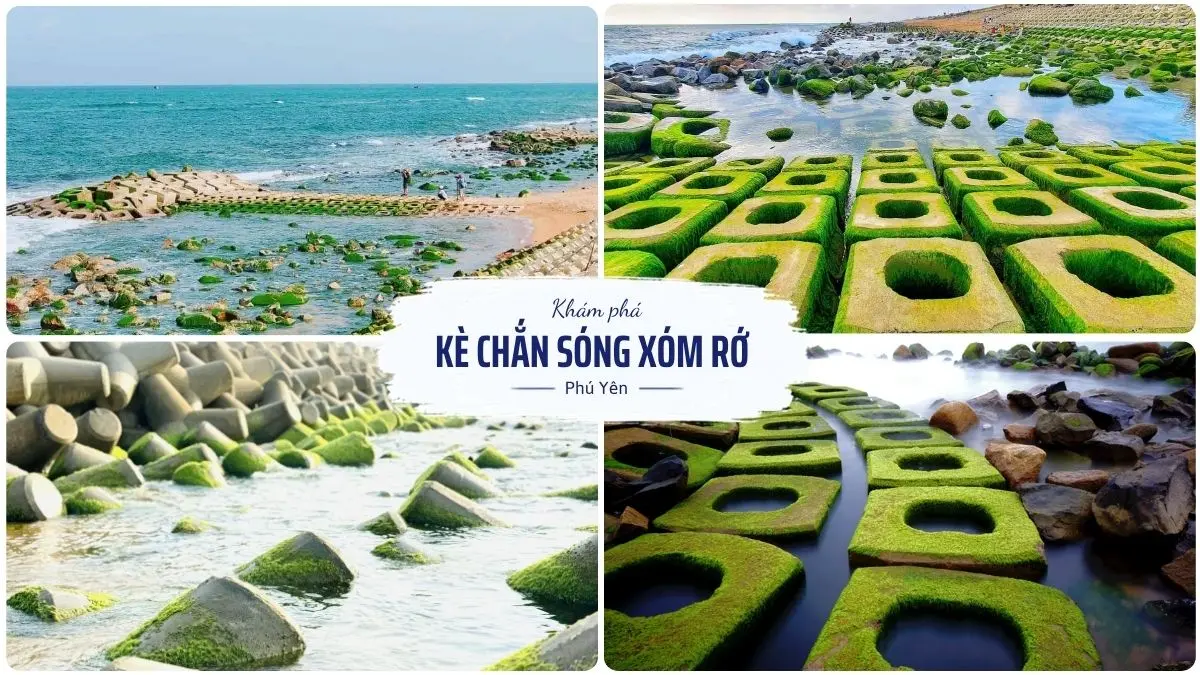 Kè chắn sóng Xóm Rớ phủ đầy rêu xanh độc đáo tại Phú Yên