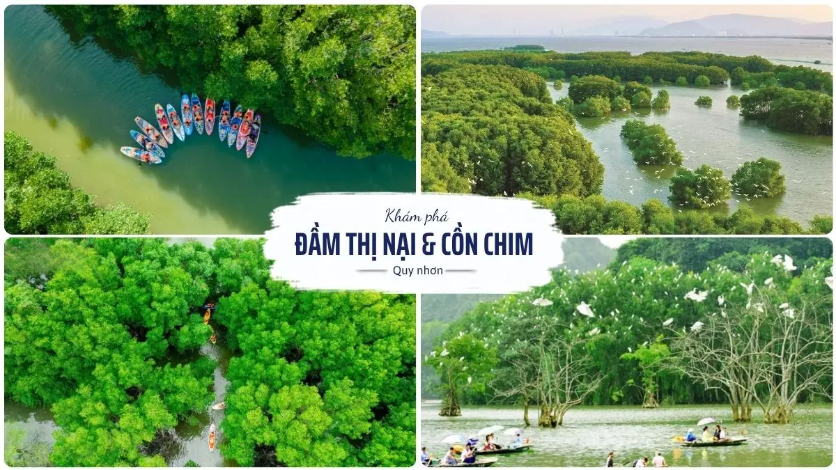 Toàn cảnh Đầm Thị Nại và Cồn Chim Quy Nhơn với hệ sinh thái ngập mặn và cây cầu vượt biển nổi tiếng