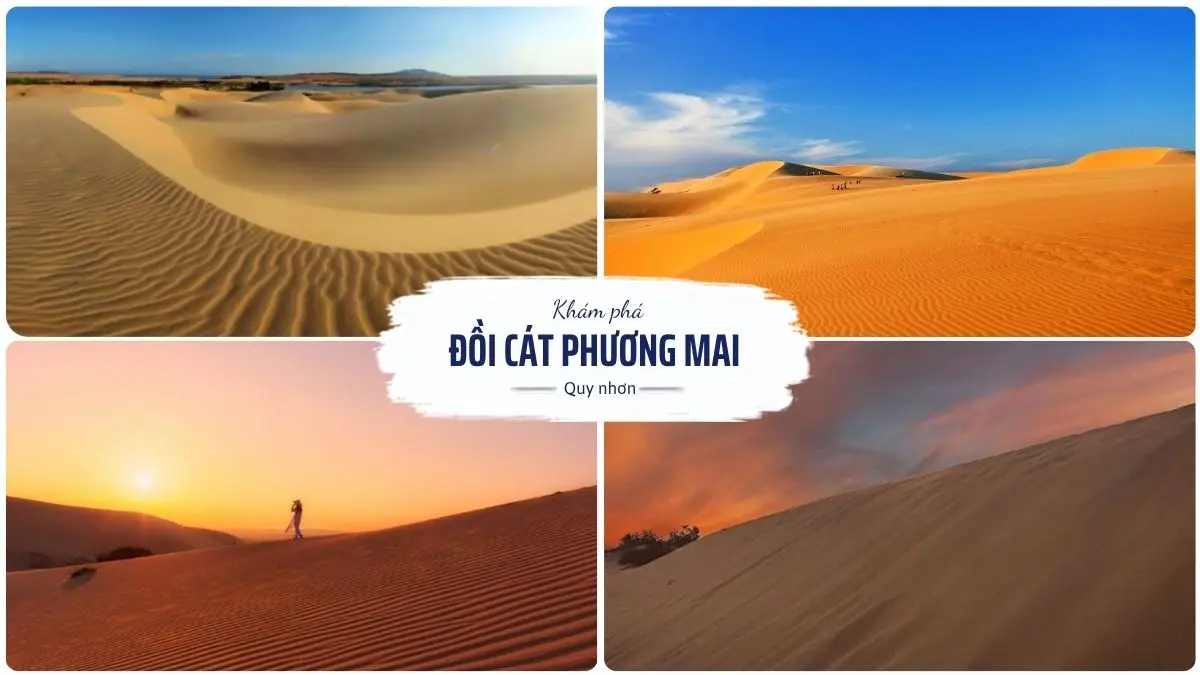 Đồi cát Phương Mai Quy Nhơn với những triền cát vàng rộng lớn và hoạt động trượt cát hấp dẫn dành cho du khách