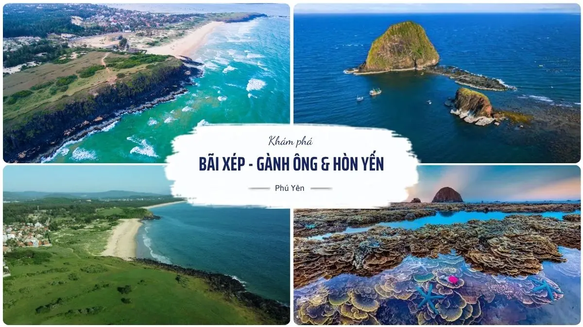Hình ảnh Bãi Xép, Gành Ông và Hòn Yến Phú Yên với đồi cỏ xanh, biển trong và rạn san hô tự nhiên