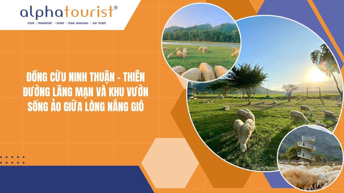 ĐỒNG CỪU NINH THUẬN - THIÊN ĐƯỜNG LÃNG MẠN VÀ KHU VƯỜN SỐNG ẢO GIỮA LÒNG NẮNG GIÓ