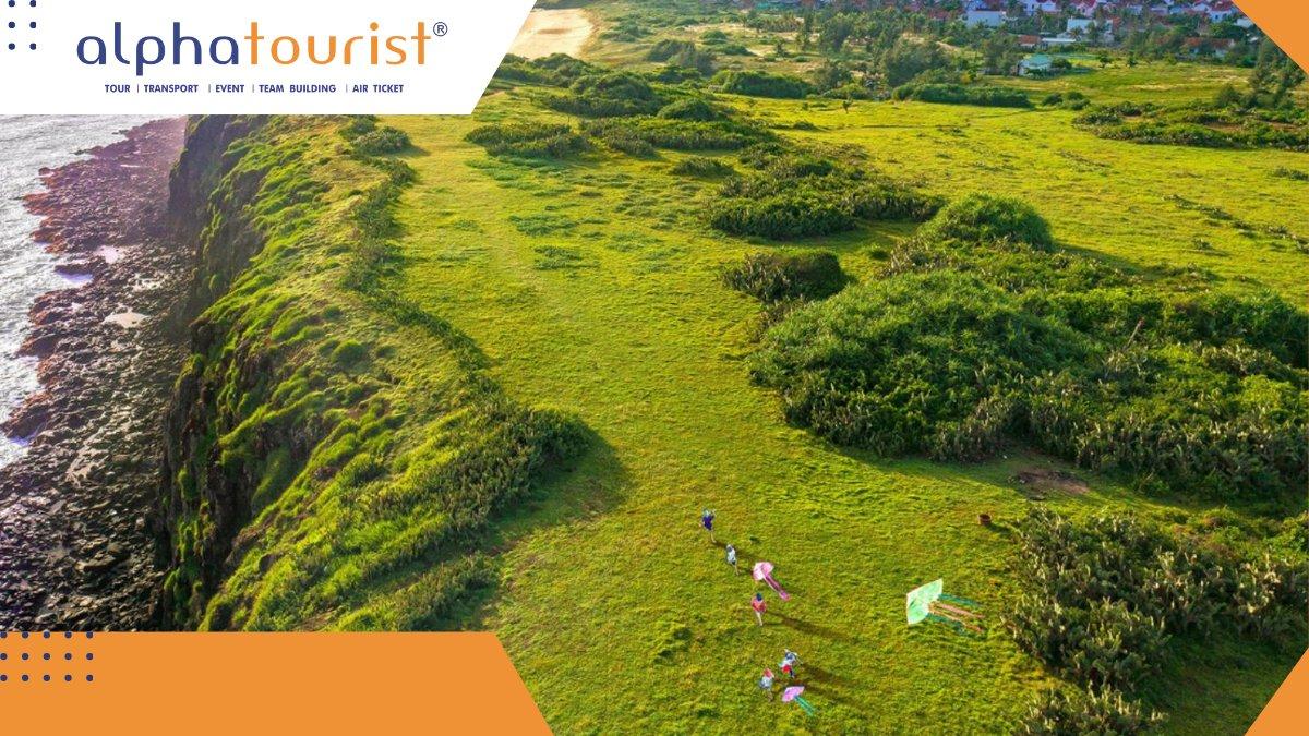 hon-nua-dao-hoa-vang-tren-co-xanh-1