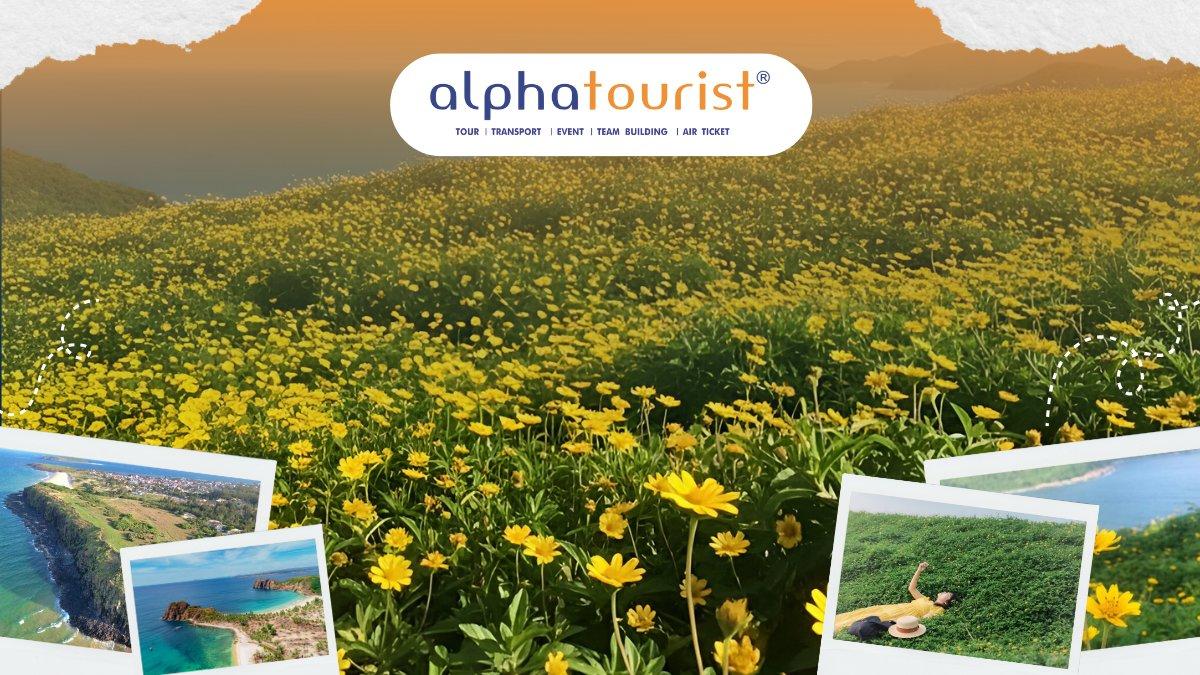 hon-nua-dao-hoa-vang-tren-co-xanh-2