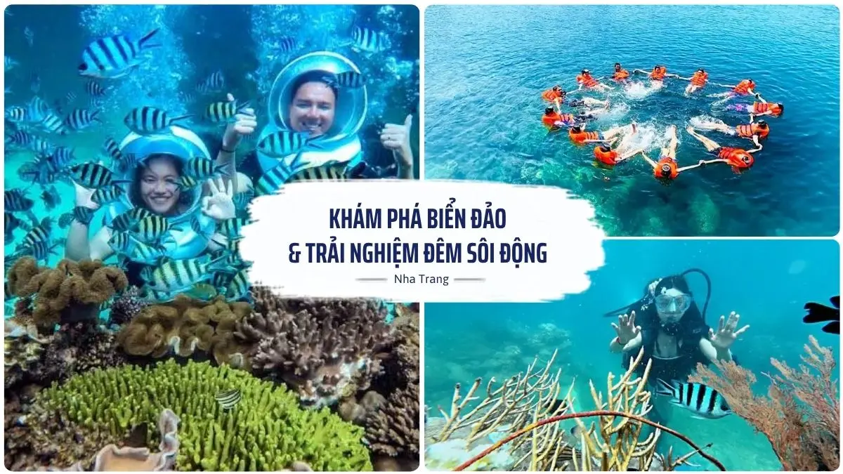 Một nhóm bạn đang vui vẻ lặn snorkeling giữa những rạn san hô rực rỡ và làn nước trong xanh tại Hòn Mun, Nha Trang