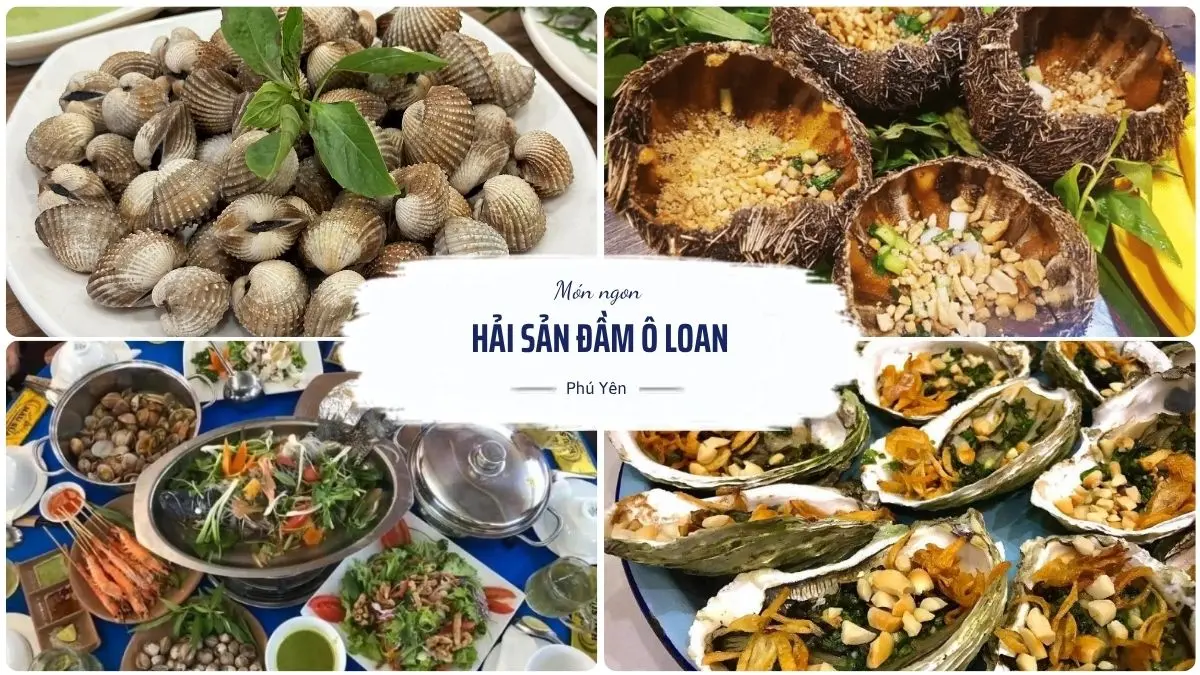 Hình ảnh các món hải sản tươi sống tại Đầm Ô Loan Phú Yên với sò huyết, tôm, cua và nhiều đặc sản địa phương