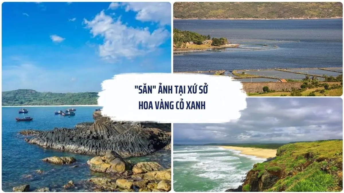 Hình ảnh tổng hợp Gành Đá Đĩa, Đầm Ô Loan, Bãi Xép - Gành Ông và các điểm check-in nổi tiếng trong hành trình khám phá phía Bắc Phú Yên