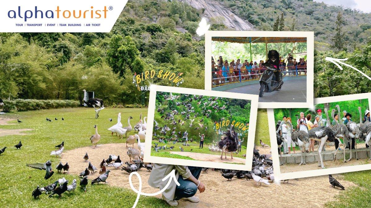 suoi-hoa-lan-nha-trang-3