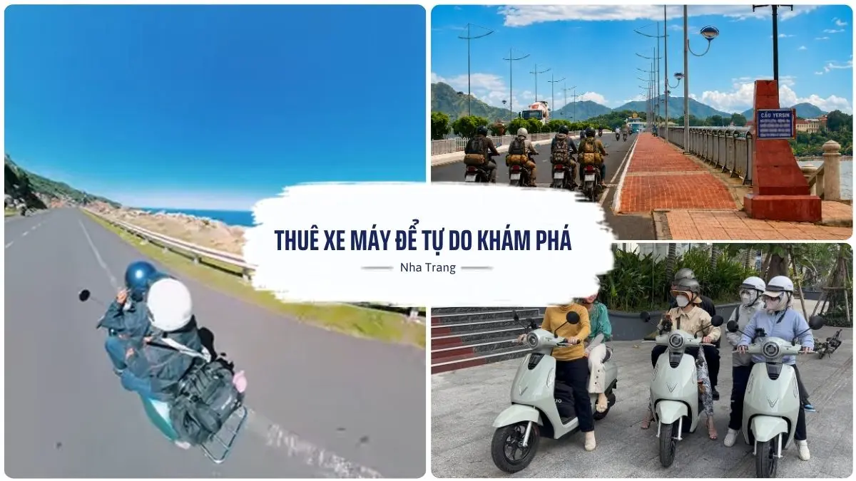 Một nhóm bạn trẻ đang vui vẻ lái xe máy trên con đường ven biển Trần Phú đầy nắng ở Nha Trang, với biển xanh và hàng dừa