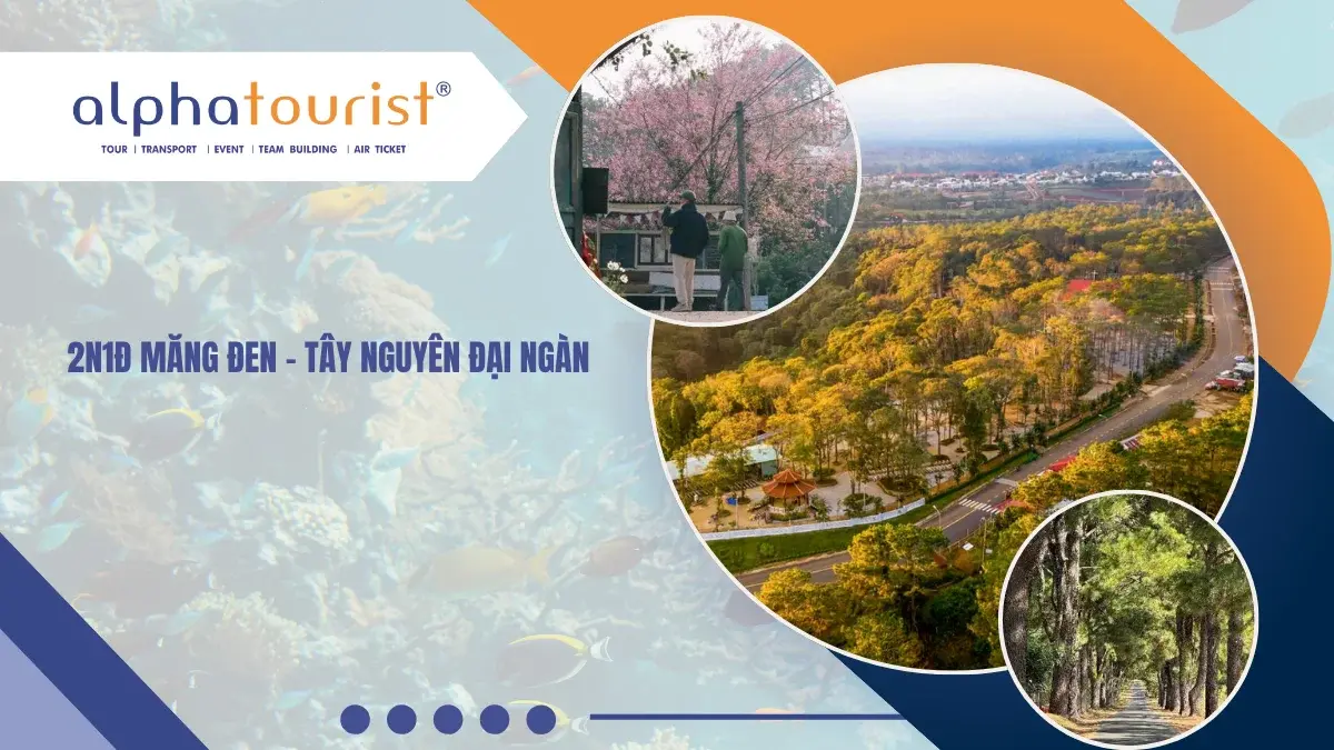 [COMBO PHÚ YÊN] 2N1Đ MĂNG ĐEN – TÂY NGUYÊN ĐẠI NGÀN