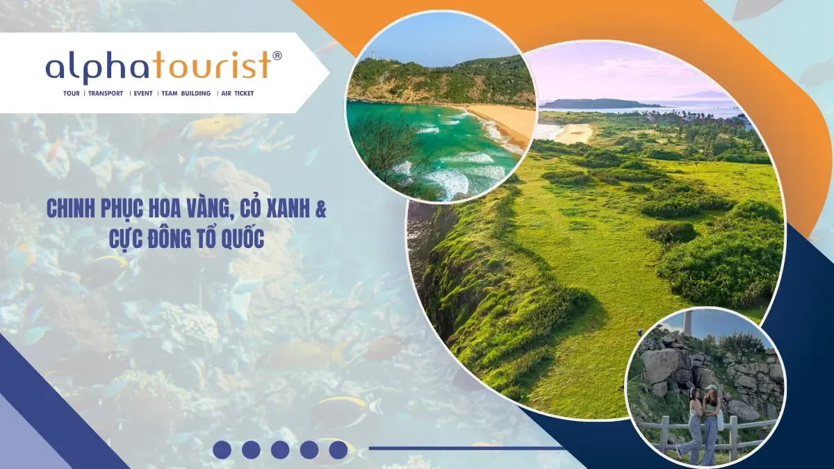 [COMBO PHÚ YÊN] 3N2Đ - CHINH PHỤC HOA VÀNG, CỎ XANH & CỰC ĐÔNG TỔ QUỐC