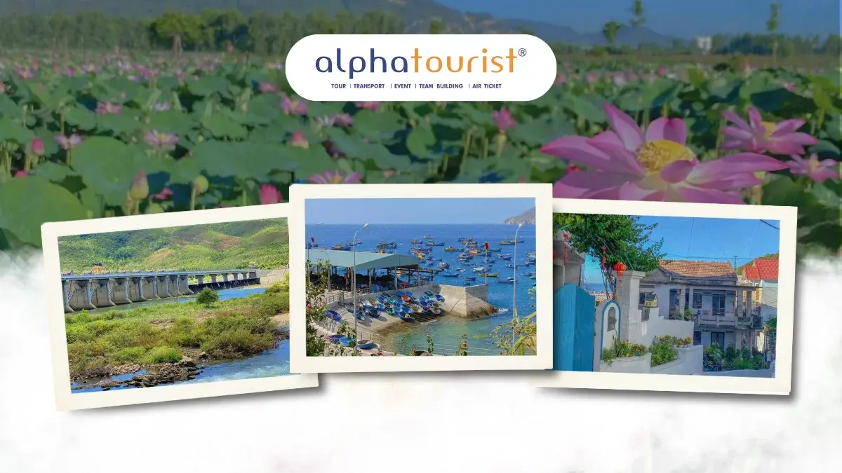 combo-quy-nhon-3n2d-ky-co-tay-son-hao-kiet-1