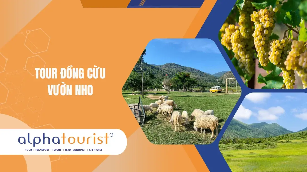Tour Đồng Cừu - Vườn Nho