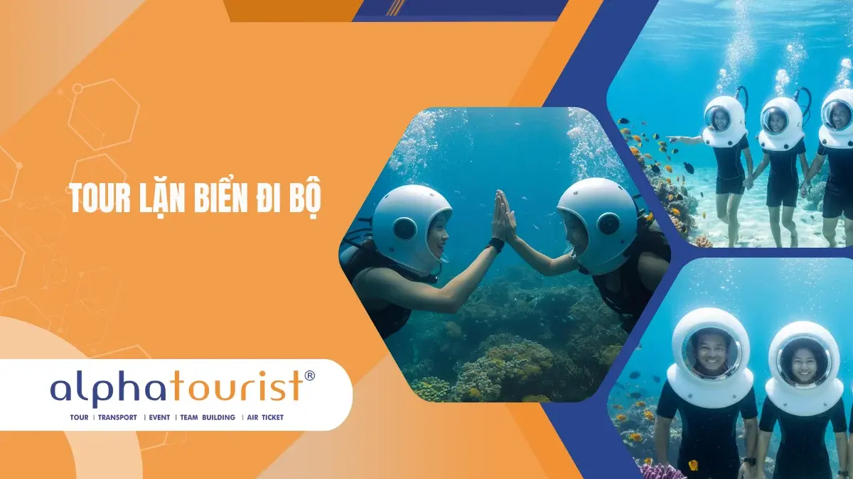 Tour Lặn Biển Đi Bộ