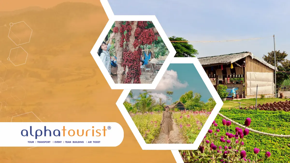 tour-cao-nguyen-van-hoa-1-ngay-01