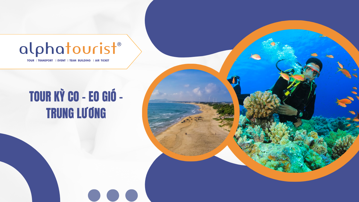[Land Tour] Tour Kỳ Co – Eo Gió – Trung Lương 2 Ngày 1 Đêm