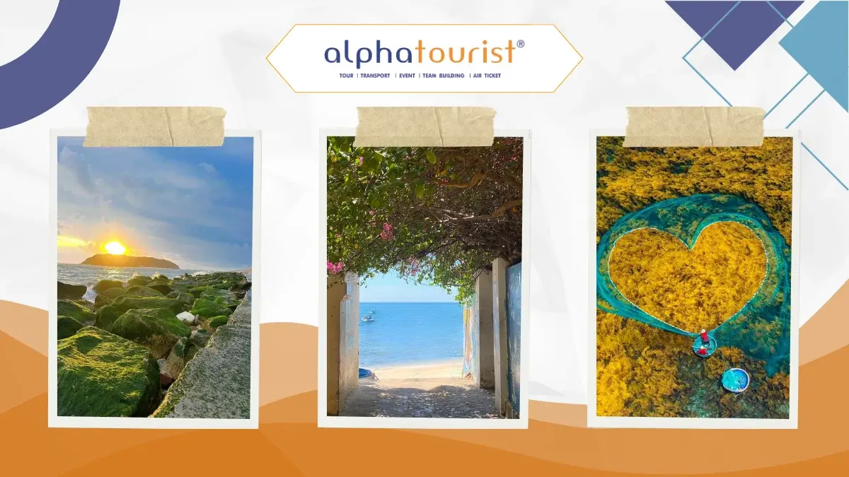 land-tour-binh-dinh-ve-mien-dat-vo-troi-van-2