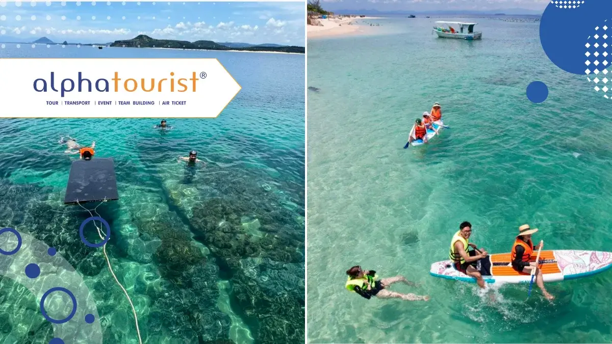 land-tour-cu-lao-mai-nha-camping-1