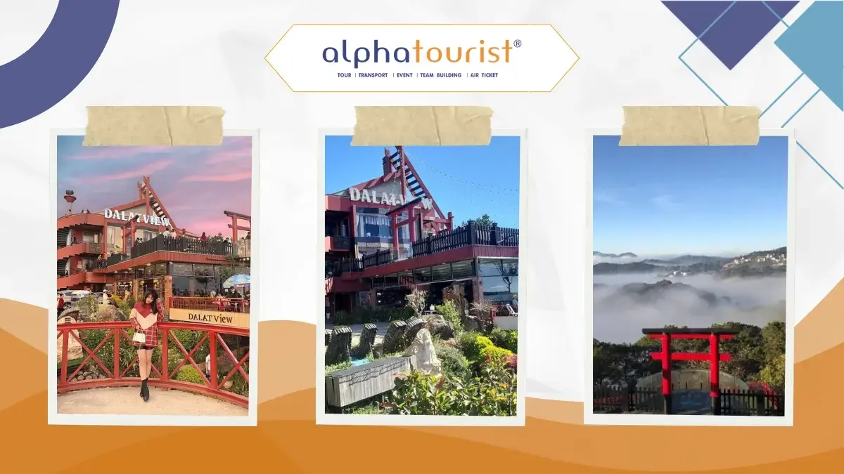 Đà Lạt View qua nhiều góc chụp, nổi bật với không gian thiên nhiên xanh mát, kiến trúc ấn tượng và những điểm check-in đẹp giữa khung cảnh núi đồi Đà Lạt