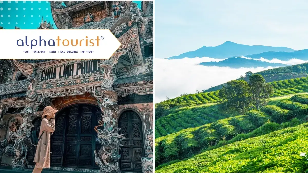 Hình ảnh kết hợp Đồi chè Cầu Đất xanh mướt và Chùa Linh Phước với kiến trúc đặc sắc, hai điểm tham quan nổi bật tại Đà Lạt