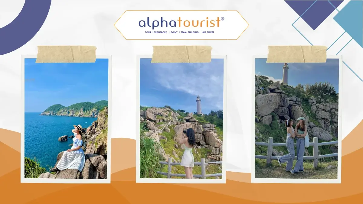 land-tour-phu-yen-hoa-vang-co-xanh-2