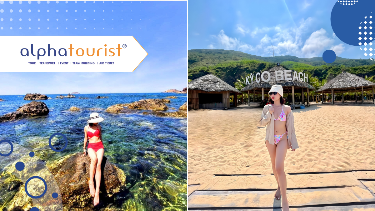 land-tour-tour-3-dao-quy-nhon-1