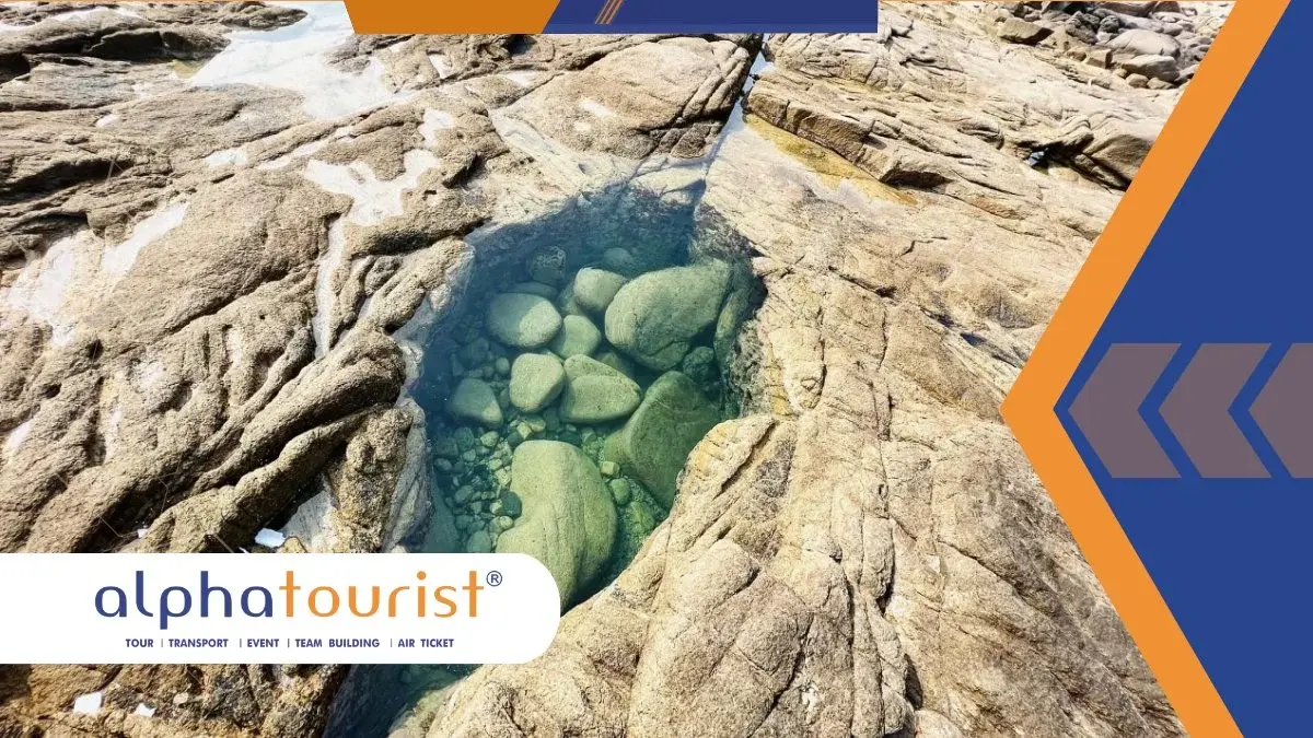 tour-cu-lao-mai-nha-02