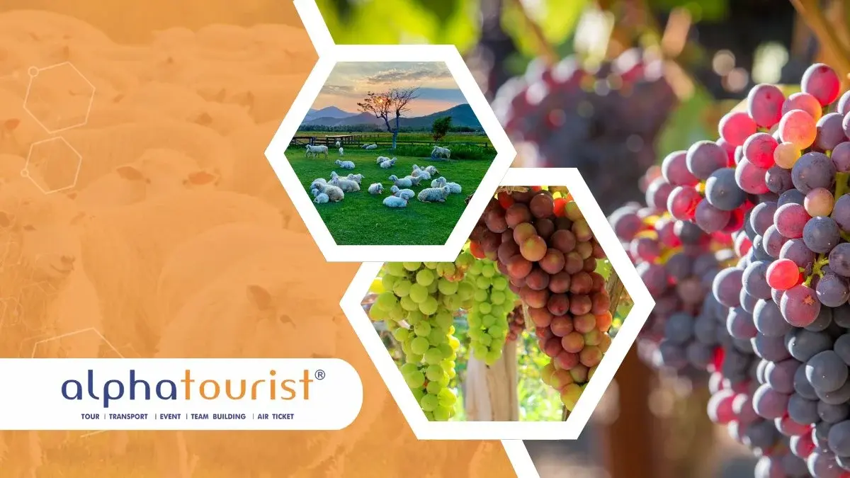 tour-dong-cuu-vuon-nho-01