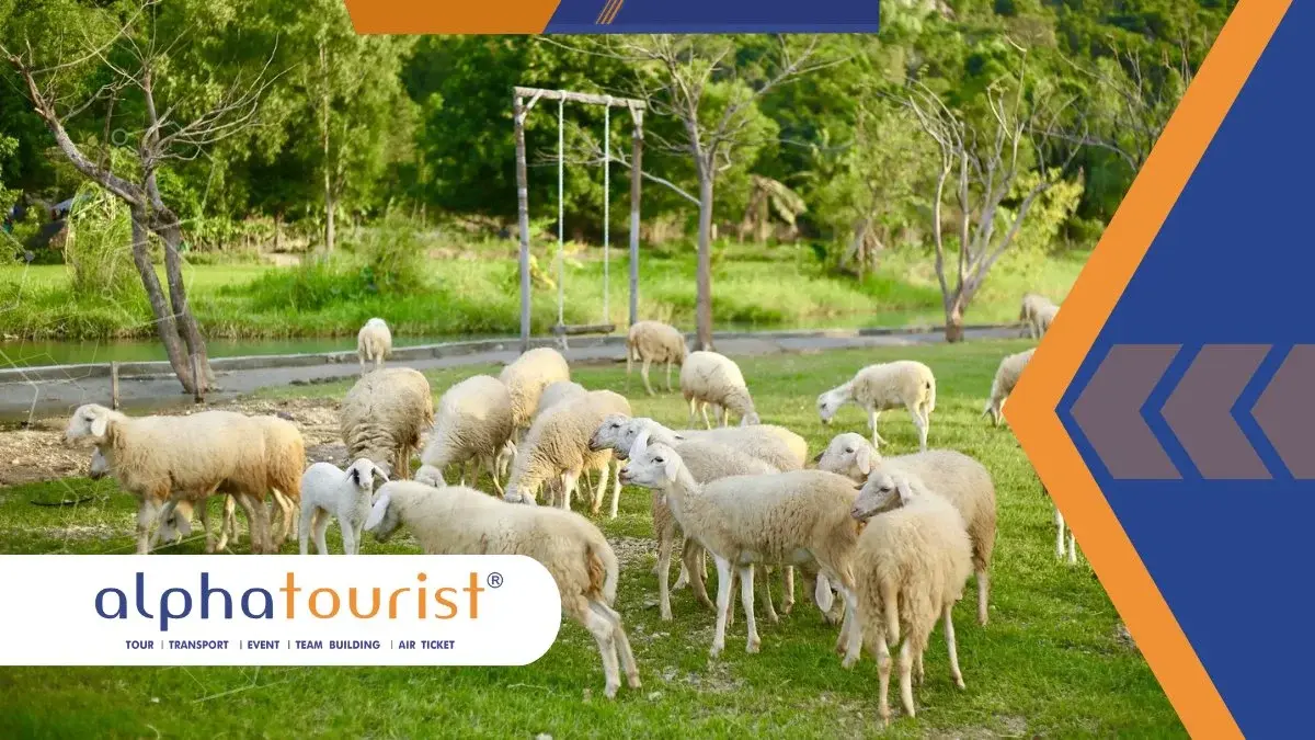 tour-dong-cuu-vuon-nho-02